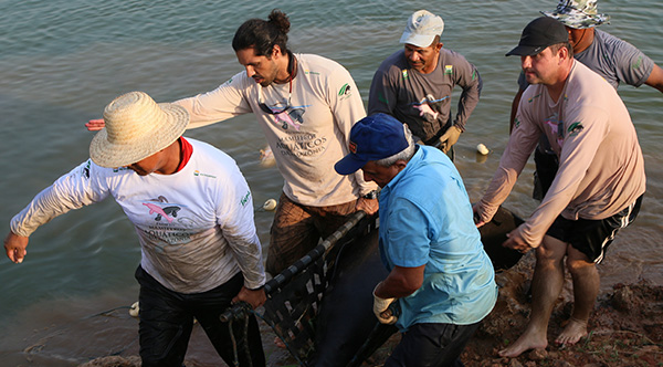 Conservación del medio ambiente