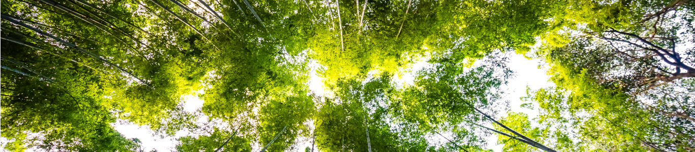 Imagen sustentabilidad